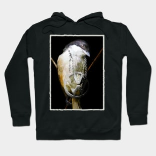 Surreal Bird Art Design Color Hoodie